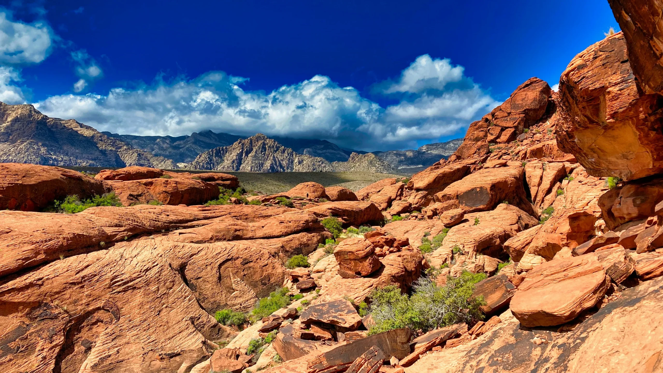 Red sandstone and desert mountains under a bright blue sky.
