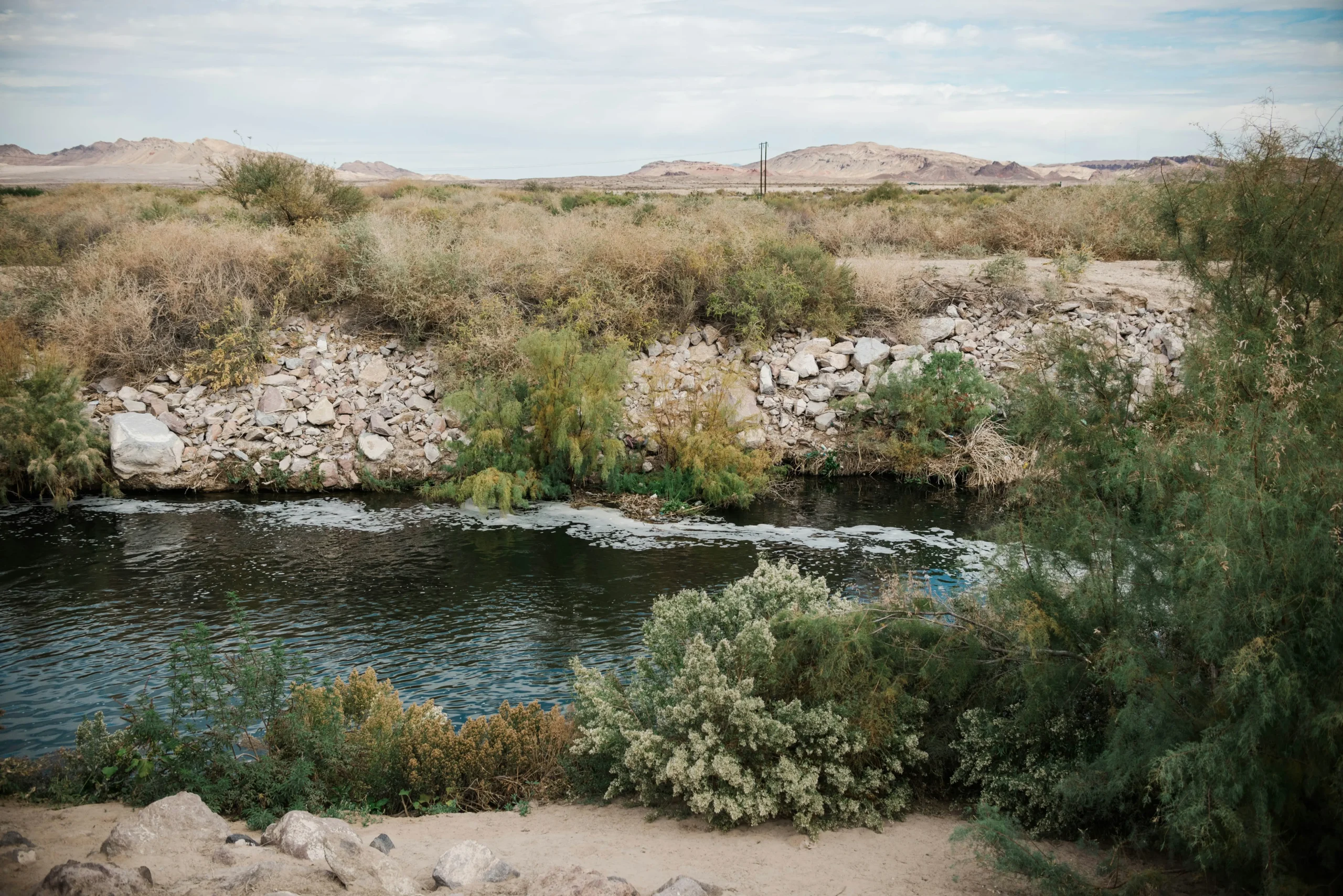 A shallow desert creek lined with brush and rocks.