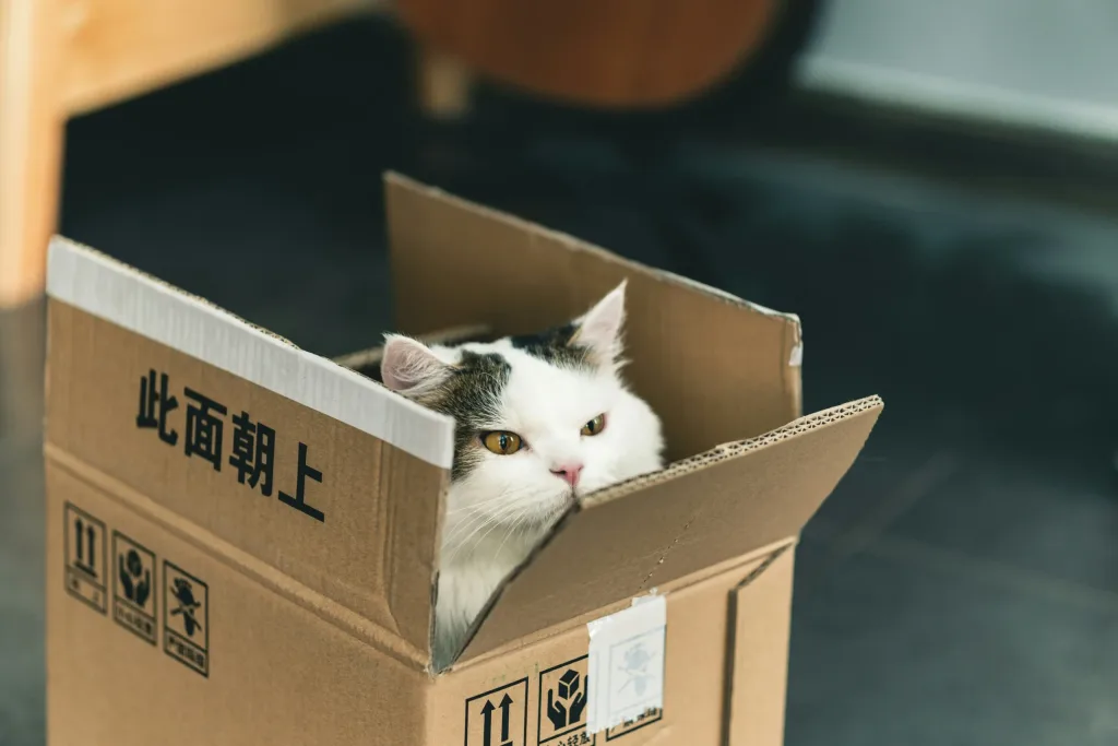 Moving with Pets in Las Vegas: Tips for a Stress-Free Relocation